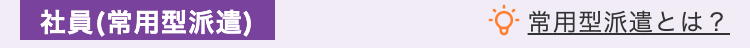 社員(常用型派遣)
常用型派遣とは?